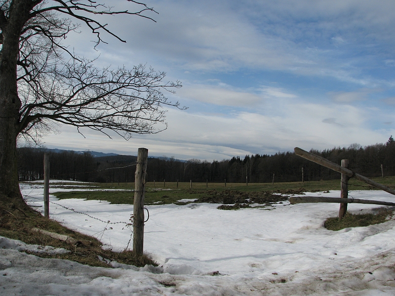 Fraszka2010-02-28 096